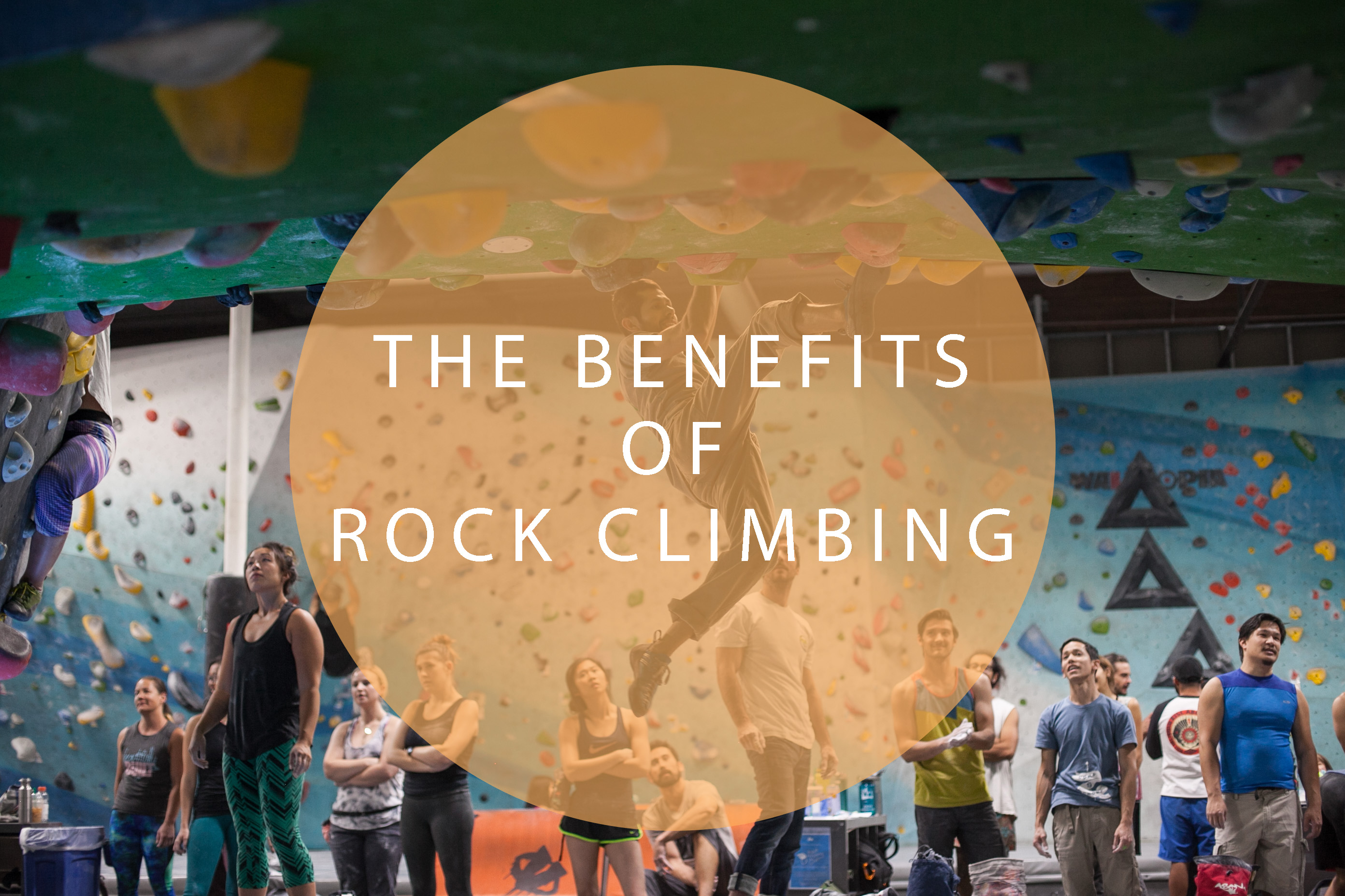 Benefits of Rock Climbing Sender One Climbing Indoor Climbing Blog