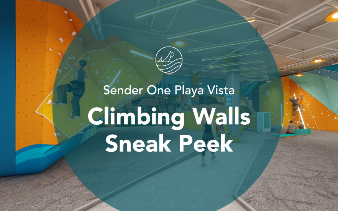 Sender One Playa Vista – Update!