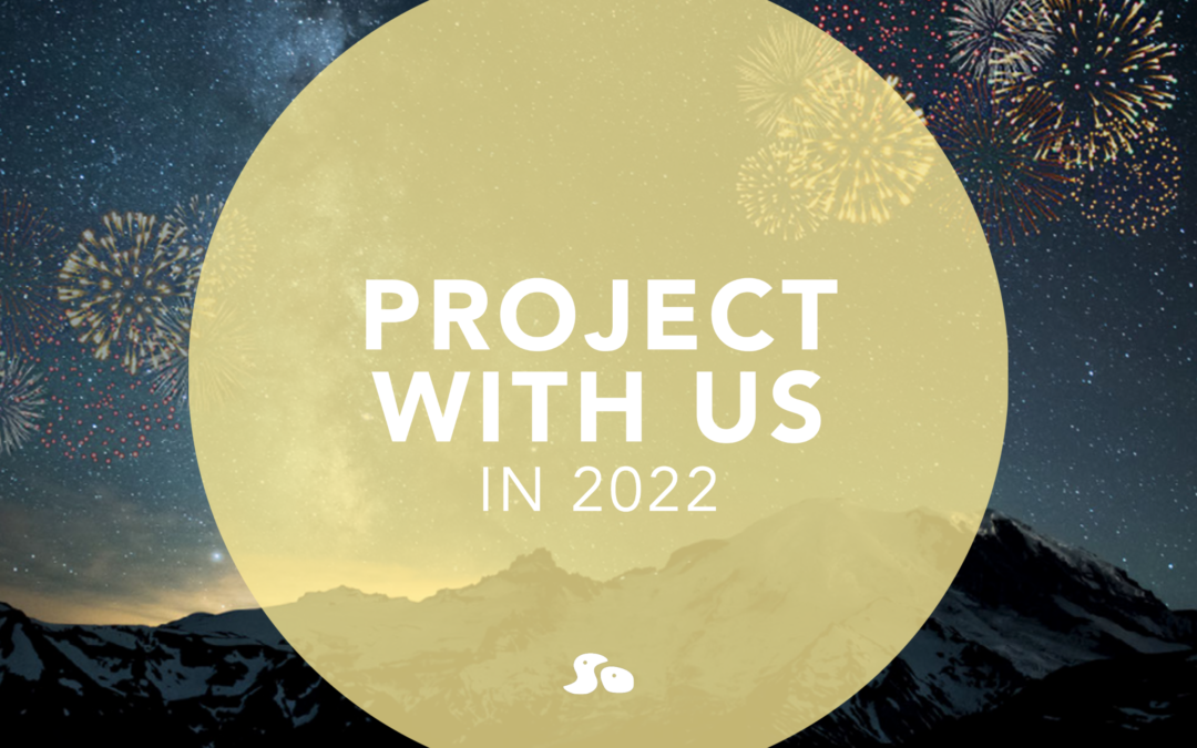 Project With Us in 2022
