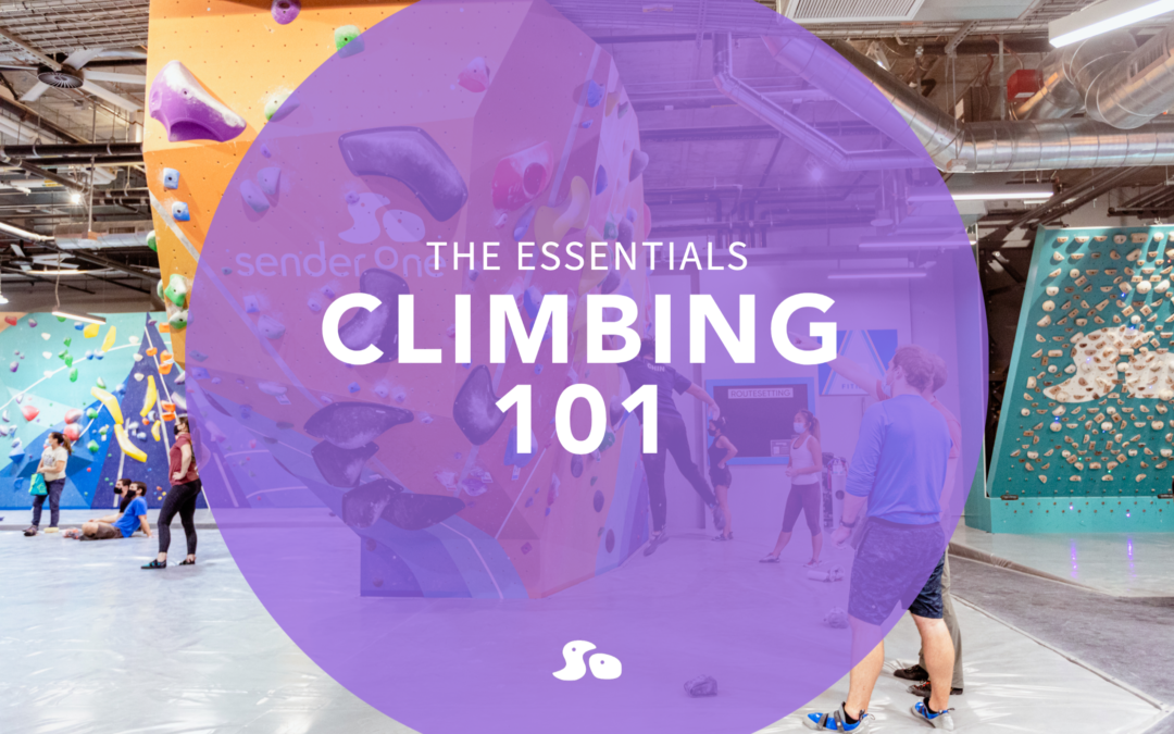 Climbing 101: The Essentials